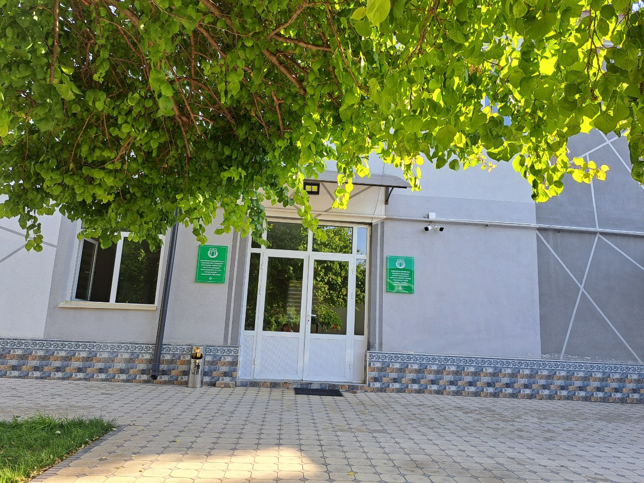 Yangiliklar